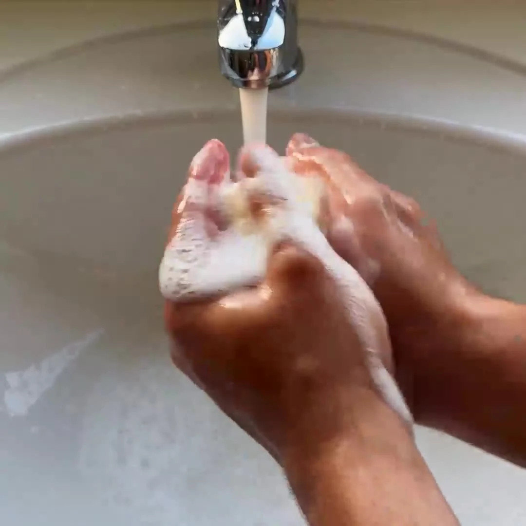 A LeSoap Honey bar being lathered in wet hands under a running tap, thick white foam building over the sculpted face